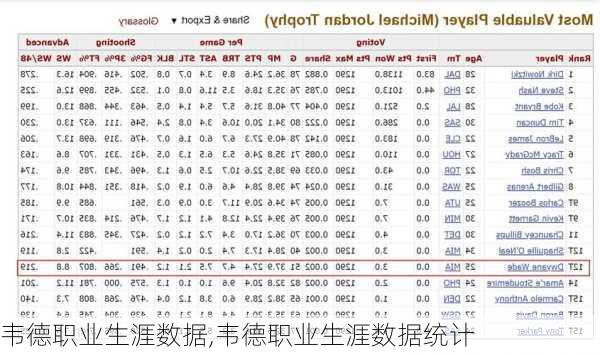韦德职业生涯数据,韦德职业生涯数据统计