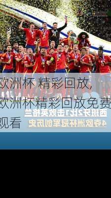欧洲杯 精彩回放,欧洲杯精彩回放免费观看