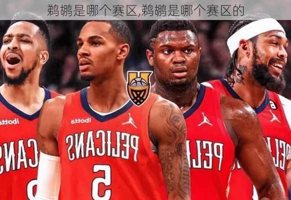 鹈鹕是哪个赛区,鹈鹕是哪个赛区的