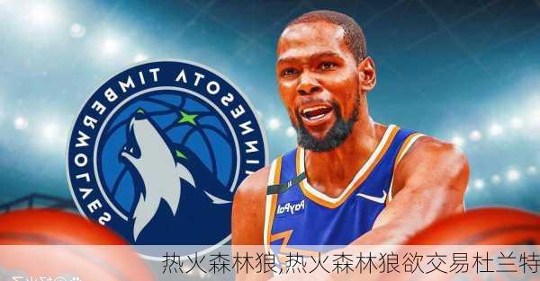 热火森林狼,热火森林狼欲交易杜兰特