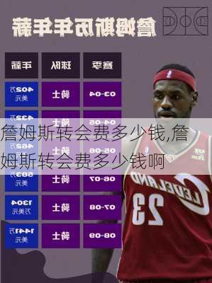 詹姆斯转会费多少钱,詹姆斯转会费多少钱啊