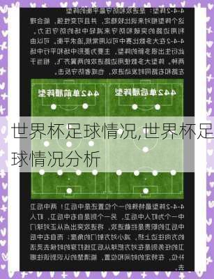 世界杯足球情况,世界杯足球情况分析