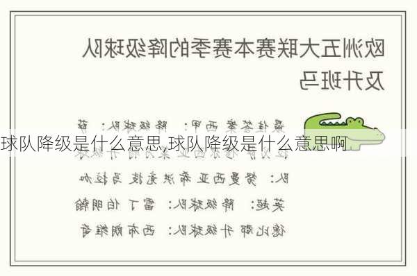 球队降级是什么意思,球队降级是什么意思啊