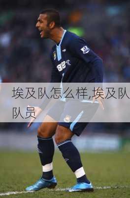 埃及队怎么样,埃及队队员