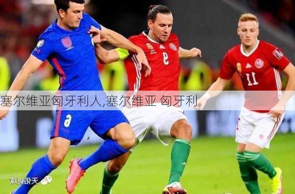 塞尔维亚匈牙利人,塞尔维亚 匈牙利