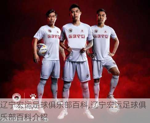 辽宁宏运足球俱乐部百科,辽宁宏运足球俱乐部百科介绍