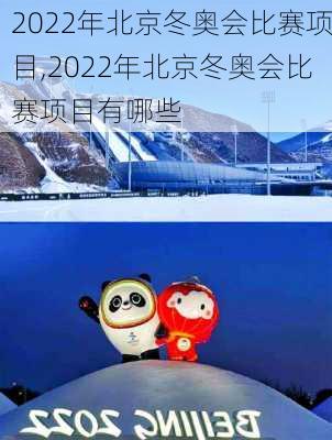 2022年北京冬奥会比赛项目,2022年北京冬奥会比赛项目有哪些