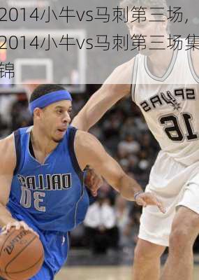 2014小牛vs马刺第三场,2014小牛vs马刺第三场集锦
