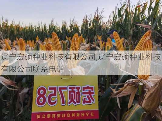 辽宁宏硕种业科技有限公司,辽宁宏硕种业科技有限公司联系电话
