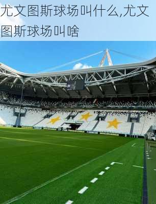 尤文图斯球场叫什么,尤文图斯球场叫啥