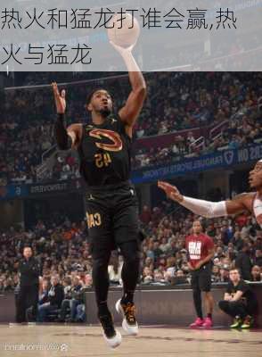 热火和猛龙打谁会赢,热火与猛龙