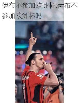 伊布不参加欧洲杯,伊布不参加欧洲杯吗