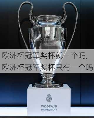 欧洲杯冠军奖杯就一个吗,欧洲杯冠军奖杯只有一个吗