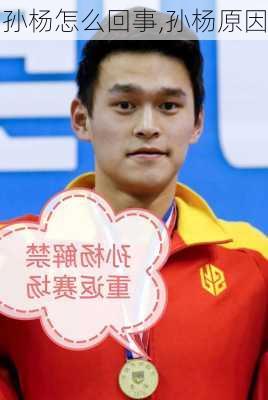 孙杨怎么回事,孙杨原因