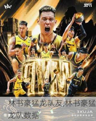 林书豪猛龙队友,林书豪猛龙队数据