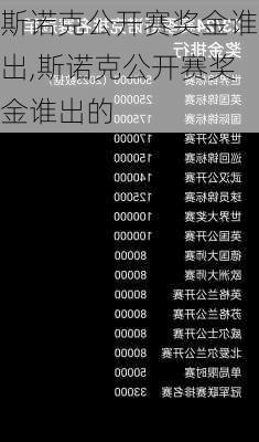 斯诺克公开赛奖金谁出,斯诺克公开赛奖金谁出的