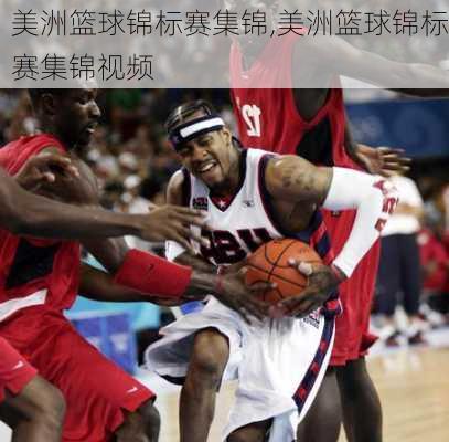 美洲篮球锦标赛集锦,美洲篮球锦标赛集锦视频