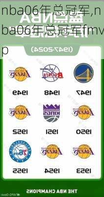 nba06年总冠军,nba06年总冠军fmvp