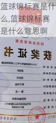 篮球锦标赛是什么,篮球锦标赛是什么意思啊