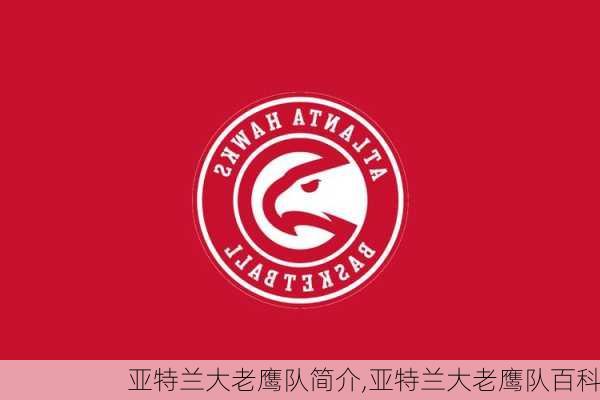 亚特兰大老鹰队简介,亚特兰大老鹰队百科
