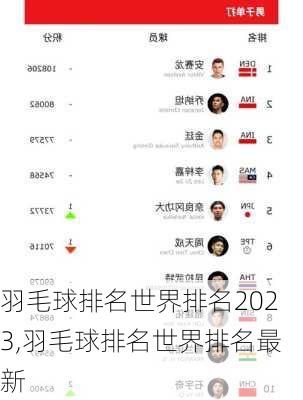 羽毛球排名世界排名2023,羽毛球排名世界排名最新