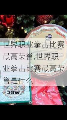 世界职业拳击比赛最高荣誉,世界职业拳击比赛最高荣誉是什么