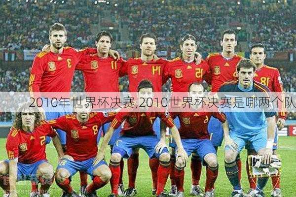 2010年世界杯决赛,2010世界杯决赛是哪两个队