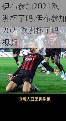 伊布参加2021欧洲杯了吗,伊布参加2021欧洲杯了吗视频