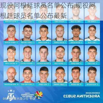 现役阿根廷球员名单公布,现役阿根廷球员名单公布最新