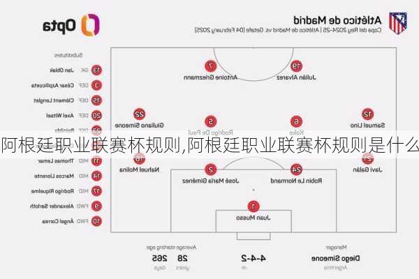 阿根廷职业联赛杯规则,阿根廷职业联赛杯规则是什么