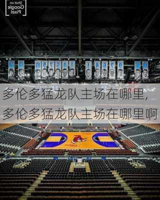 多伦多猛龙队主场在哪里,多伦多猛龙队主场在哪里啊