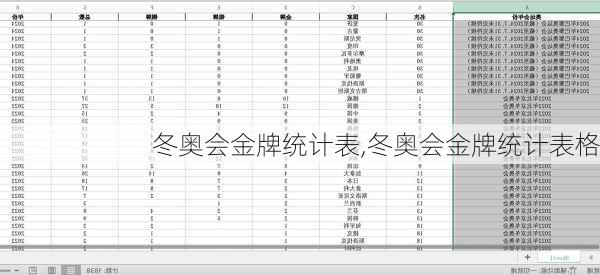 冬奥会金牌统计表,冬奥会金牌统计表格