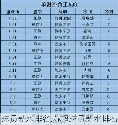 球员薪水排名,苏超球员薪水排名