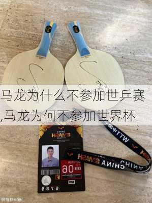 马龙为什么不参加世乒赛,马龙为何不参加世界杯