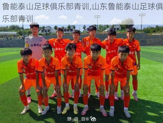 鲁能泰山足球俱乐部青训,山东鲁能泰山足球俱乐部青训