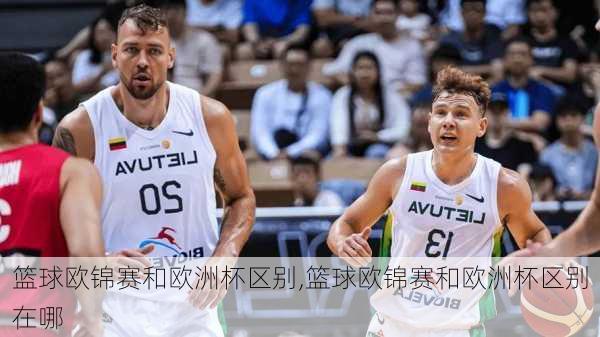 篮球欧锦赛和欧洲杯区别,篮球欧锦赛和欧洲杯区别在哪