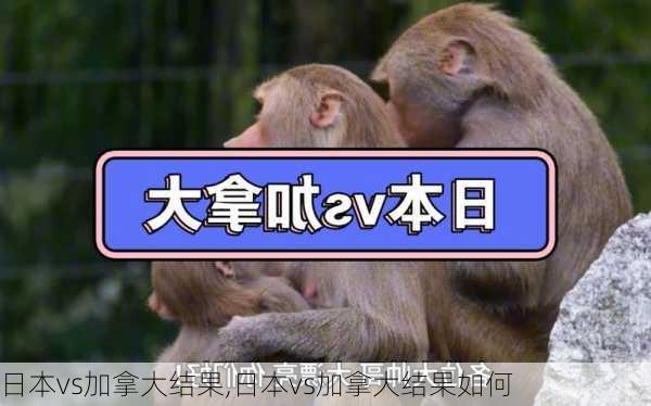 日本vs加拿大结果,日本vs加拿大结果如何
