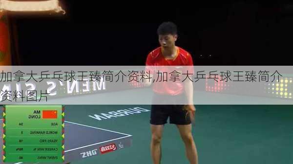 加拿大乒乓球王臻简介资料,加拿大乒乓球王臻简介资料图片