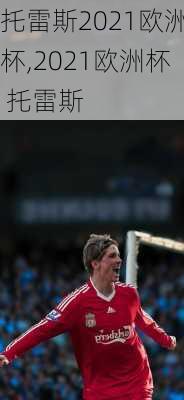 托雷斯2021欧洲杯,2021欧洲杯 托雷斯