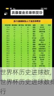 世界杯历史进球数,世界杯历史进球数排行