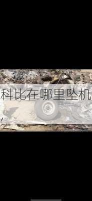 科比在哪里坠机,
