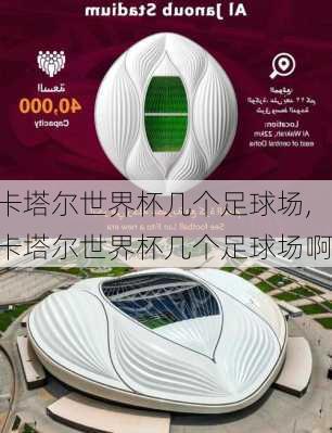 卡塔尔世界杯几个足球场,卡塔尔世界杯几个足球场啊