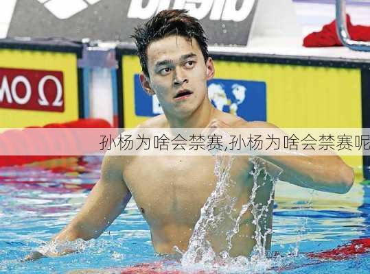 孙杨为啥会禁赛,孙杨为啥会禁赛呢