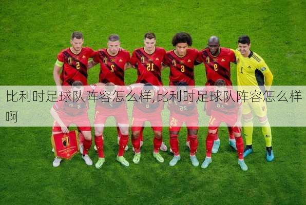 比利时足球队阵容怎么样,比利时足球队阵容怎么样啊