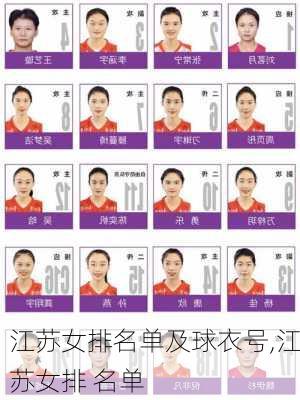 江苏女排名单及球衣号,江苏女排 名单