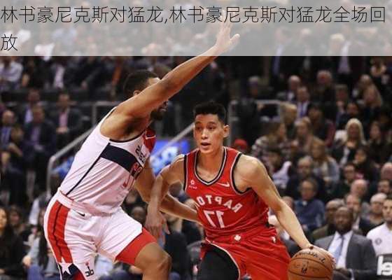 林书豪尼克斯对猛龙,林书豪尼克斯对猛龙全场回放