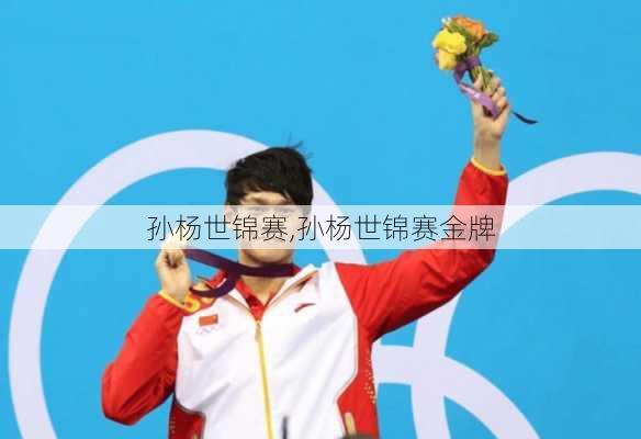 孙杨世锦赛,孙杨世锦赛金牌