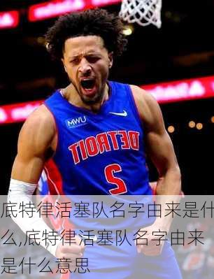 底特律活塞队名字由来是什么,底特律活塞队名字由来是什么意思