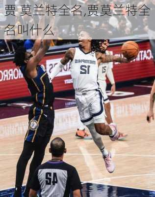 贾 莫兰特全名,贾莫兰特全名叫什么