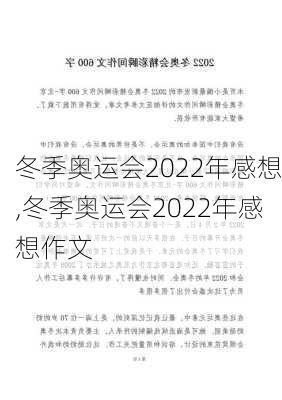 冬季奥运会2022年感想,冬季奥运会2022年感想作文